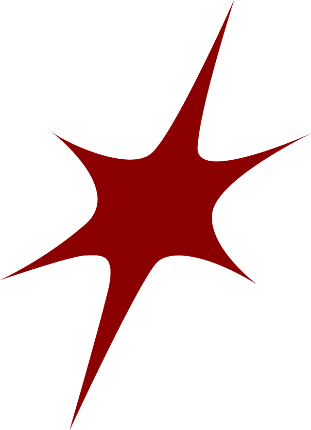 Thirteen star logo
